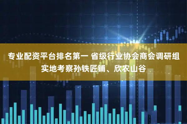 专业配资平台排名第一 省级行业协会商会调研组实地考察孙铁匠铺、欣农山谷