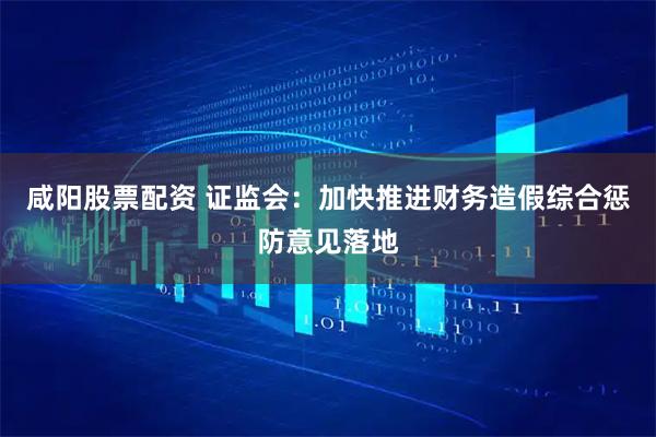 咸阳股票配资 证监会：加快推进财务造假综合惩防意见落地