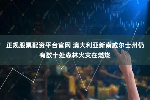 正规股票配资平台官网 澳大利亚新南威尔士州仍有数十处森林火灾在燃烧