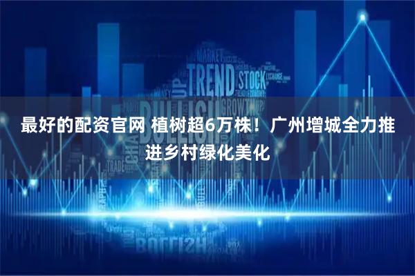 最好的配资官网 植树超6万株！广州增城全力推进乡村绿化美化